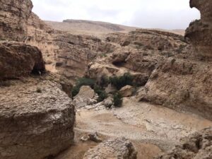 Wadi Bani Khalid 2