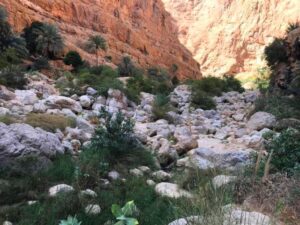 Wadi Shab 2