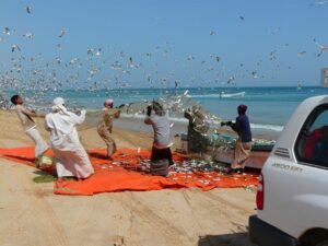 10 Fishing in Oman