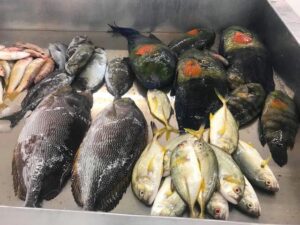 Fish Market 3
