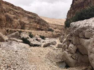 Wadi Bani Khalid 5