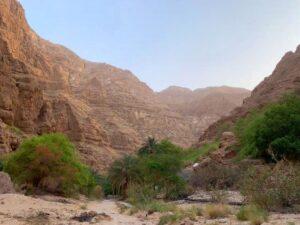 Wadi Shab 4