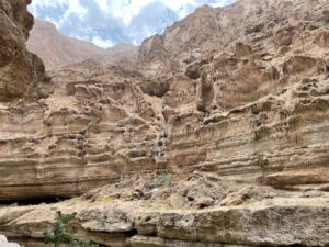 Wadi Shab 53
