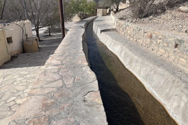 Birkat Al Moz 4
