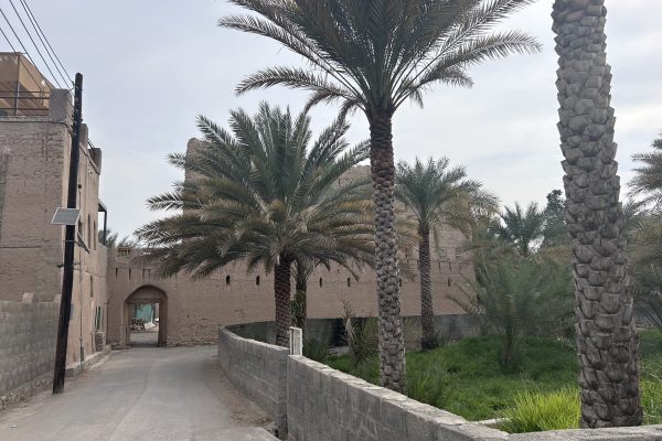 Birkat Al Moz 7
