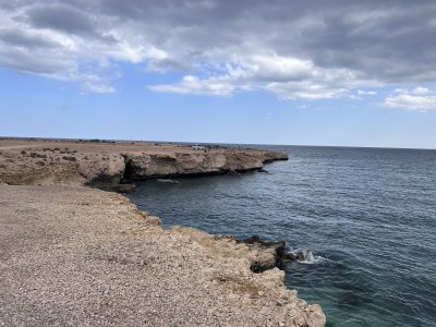 Fins Beach 2