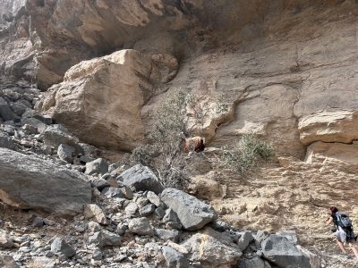 Grand canyon 1