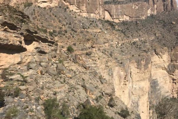 Grand canyon 41