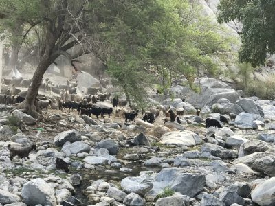 Hot Spring 4