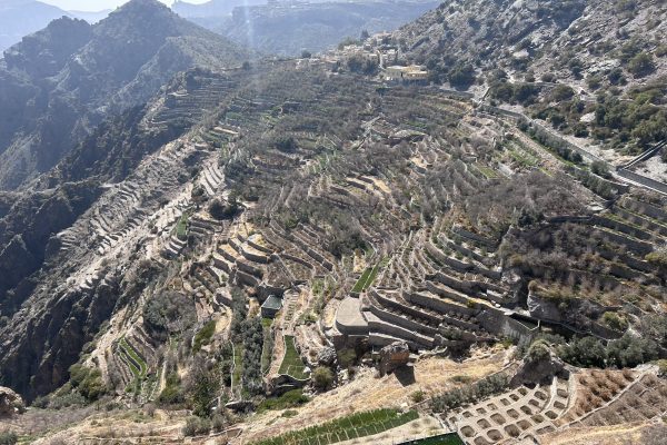 Jabal Akhdar 2
