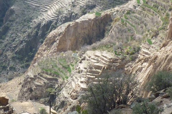 Jabal Akhdar 2