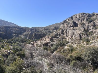 Jabal Akhdar 26