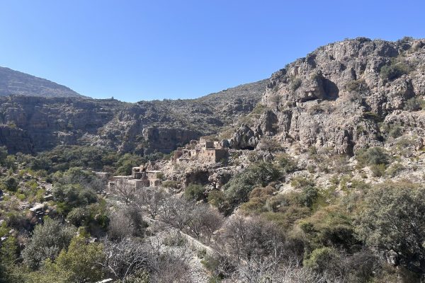Jabal Akhdar 26