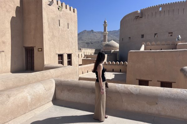 Nizwa Fort 7