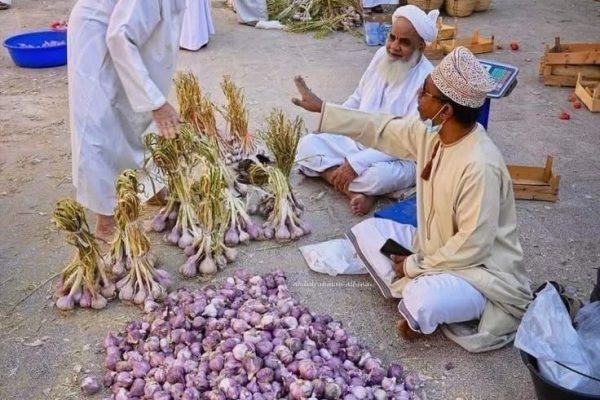 Nizwa Market 17
