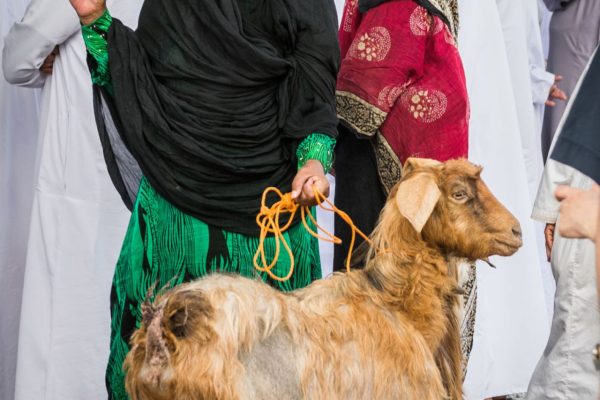 Nizwa Market 33
