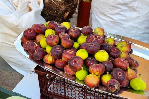 Nizwa Market 6
