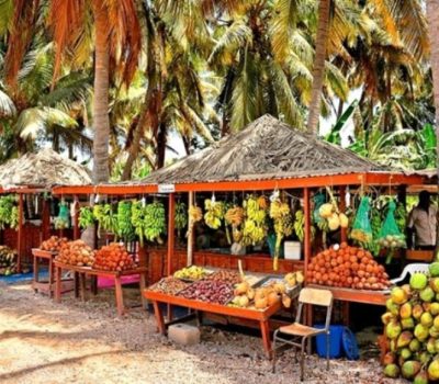 Salalah Plantation 4