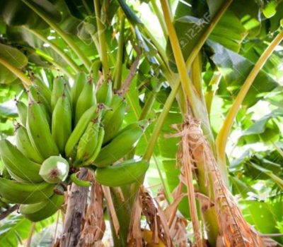 ?????????????????????????????????????????????????????????