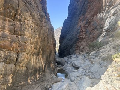 Snake Canyon 10