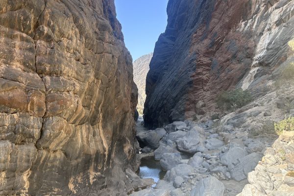 Snake Canyon 10