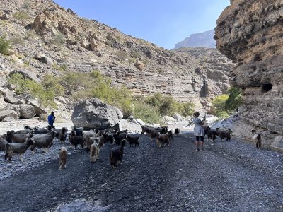 Wadi Nakhar 1
