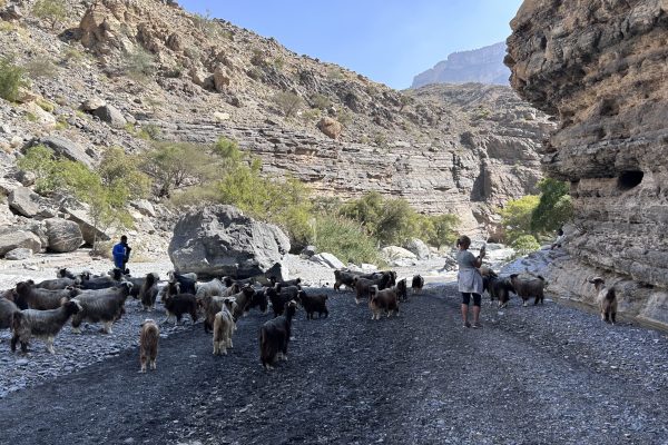 Wadi Nakhar 1