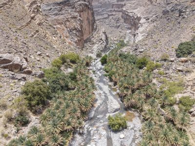 Wadi Nakhar 11