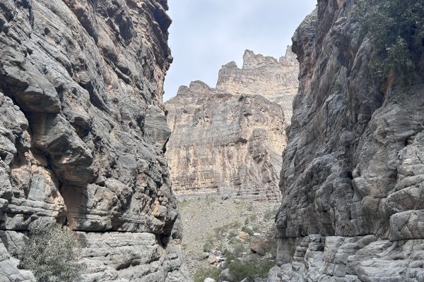 Wadi Nakhar 15