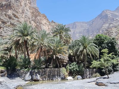 Wadi Nakhar 17