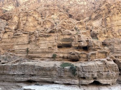Wadi Shab 3