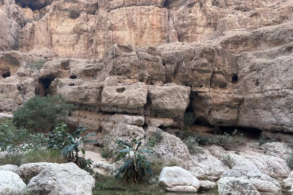 Wadi shab 7