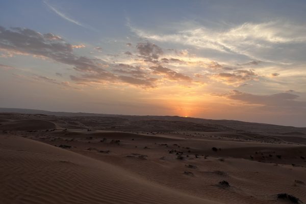 Wahiba 2