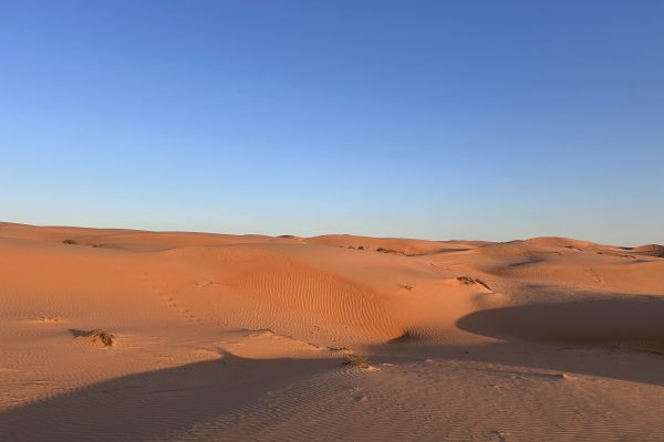 Wahiba 29